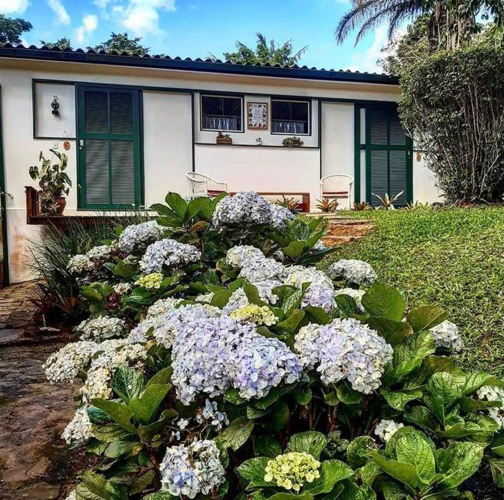 Hotel Pinheiros Do Rocio Petrópolis Exterior foto